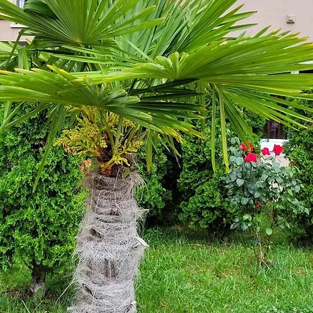 Apartament Vip-zone Słoneczny Brzeg